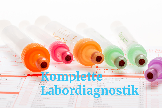 Labordiagnostik